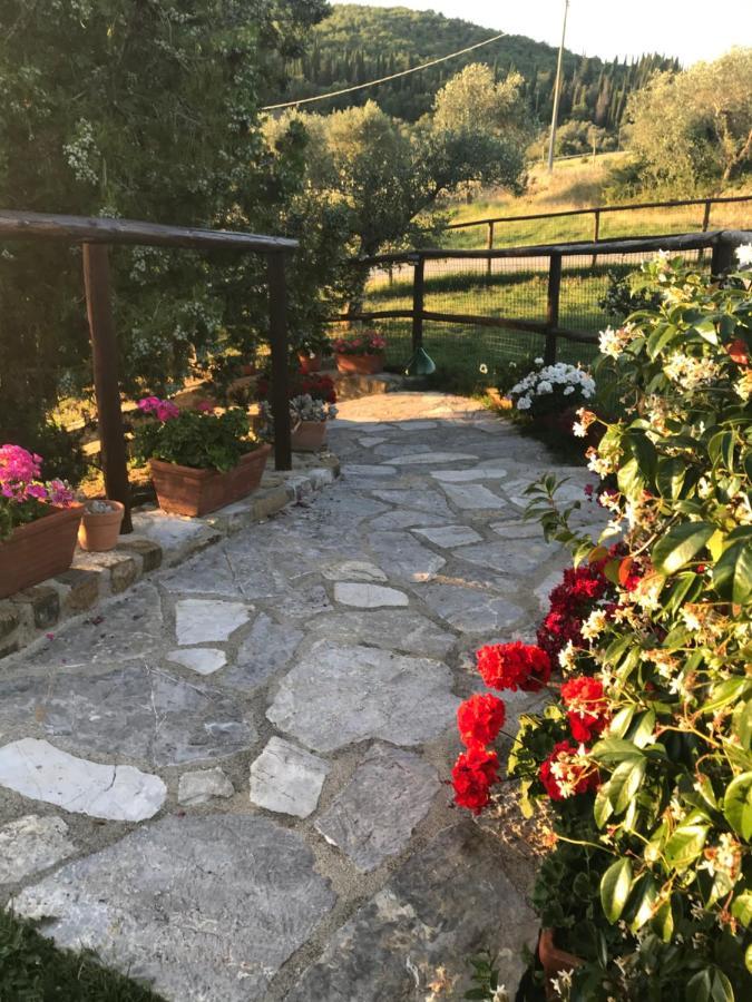 Salto Di Gatto Villa Castellina in Chianti Dış mekan fotoğraf